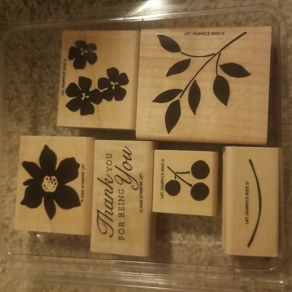 Stampin Up Best Blossoms stamp set.
